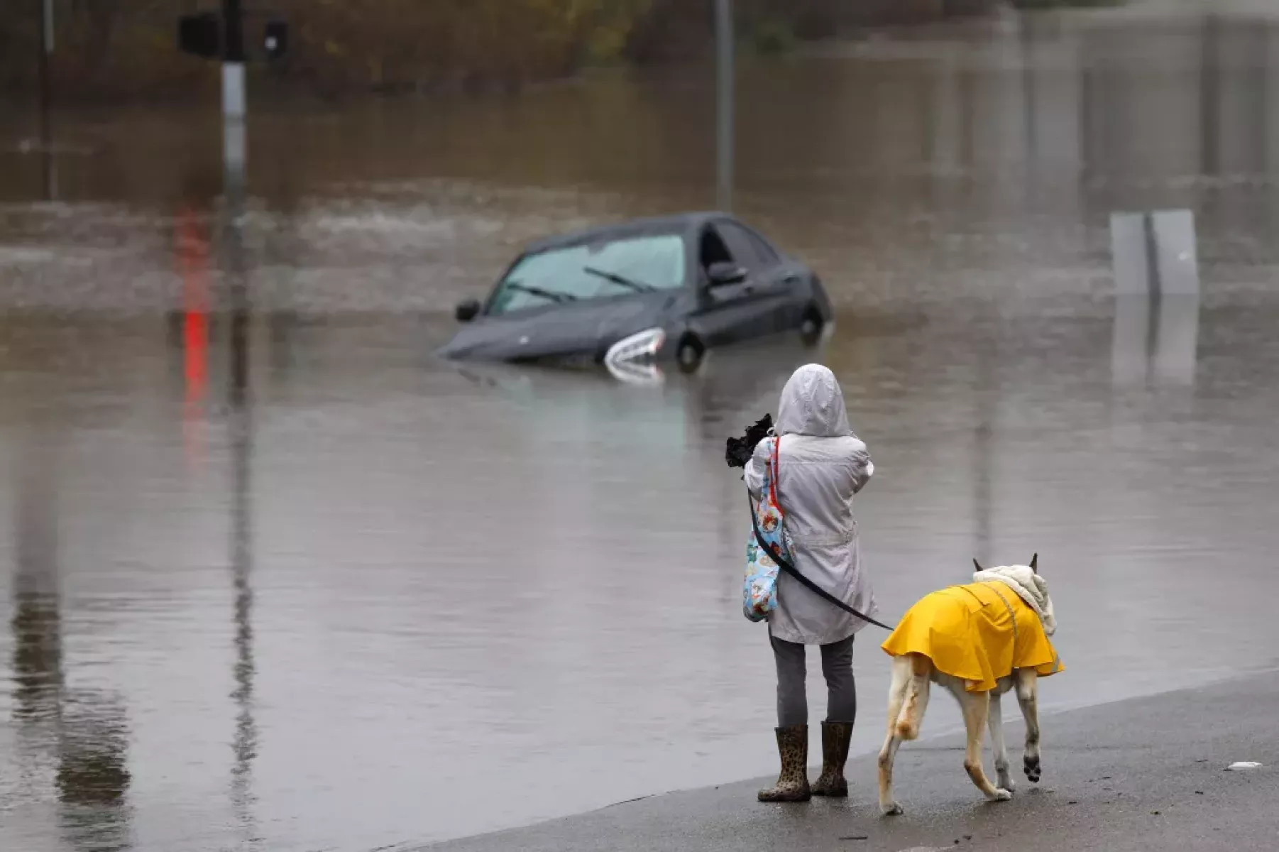 A woman walks her dog along a flooded road